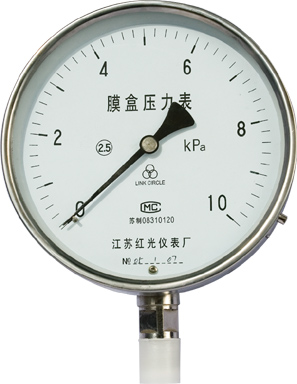 Y-M係列隔膜壓力表