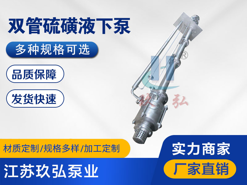 DLY雙(shuāng)管耐高溫(wēn)硫磺液下泵(bèng)(圖1) DLY雙管耐高溫硫磺液下泵(圖1)