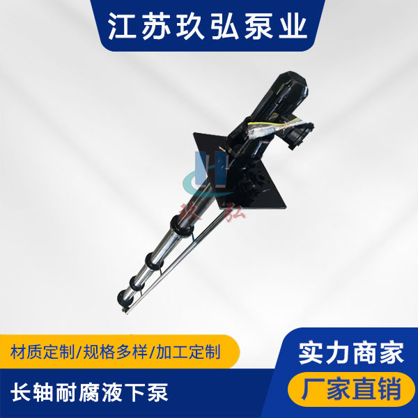 FYL長軸液下泵(bèng)(圖1) FYL長軸液下泵(圖1)