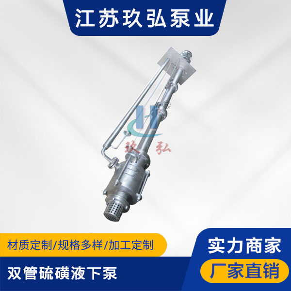 DLY雙管硫磺液下泵(圖1) DLY雙管硫磺液下泵(圖1)