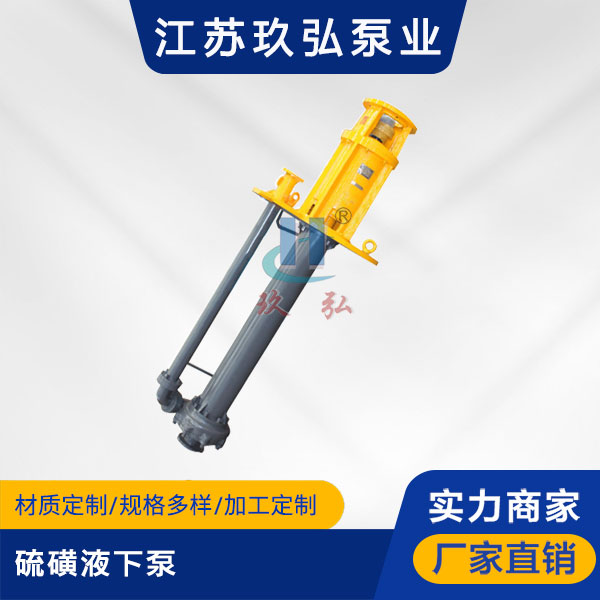 LHY型硫磺液(yè)下泵(圖1) LHY型硫磺液下泵(bèng)(圖1)