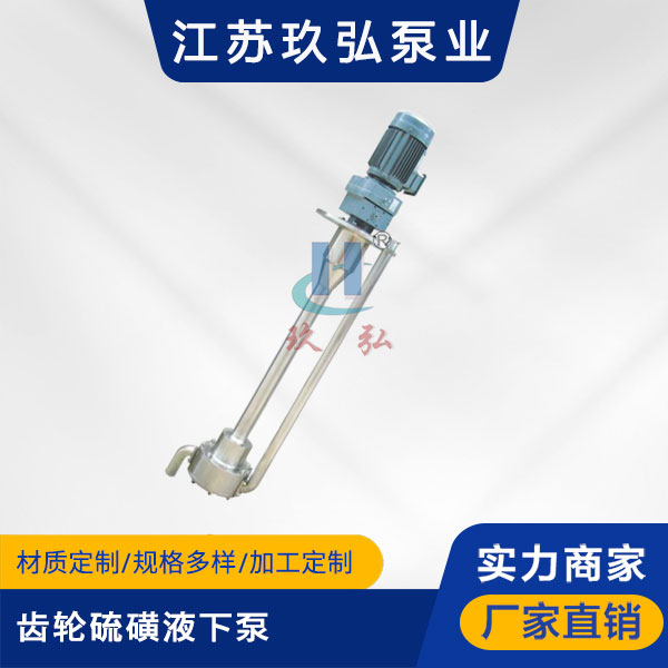 ATY齒輪硫磺液下泵【液硫泵】(圖1) ATY齒輪硫磺液下泵【液硫泵】(圖1)