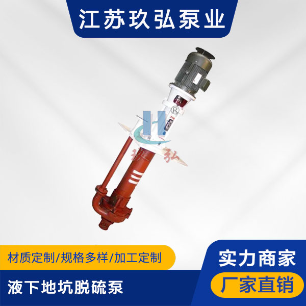 PLC液下(xià)地坑脫硫(liú)泵(圖(tú)1) PLC液下地坑脫硫泵(圖(tú)1)