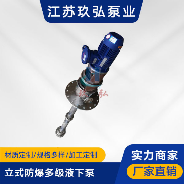 HDY立式防爆多(duō)級液下泵(圖1) HDY立式防爆多級液下泵(bèng)(圖1)