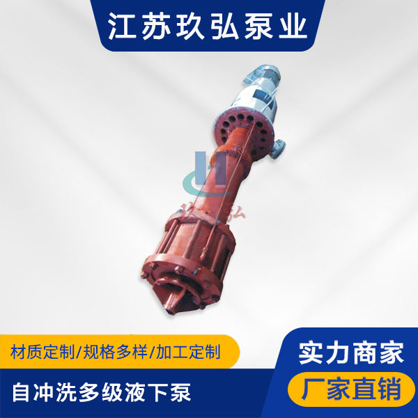 DLY自(zì)衝洗多級液下泵(bèng)(圖1) DLY自衝洗多(duō)級液下泵(圖1)