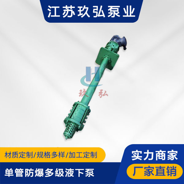 DLY單(dān)管防爆多級液下泵(圖1) DLY單管防(fáng)爆多級液(yè)下泵(圖(tú)1)