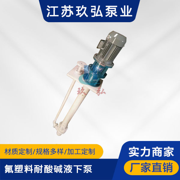 FYS型耐腐耐磨液下泵(圖1)