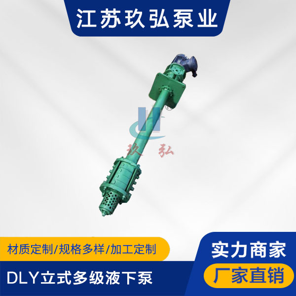 DLY立式多級液(yè)下泵(圖1) DLY立式多(duō)級液(yè)下泵(圖1)