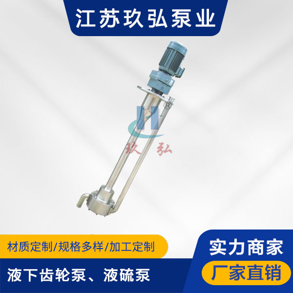 ATY液下齒輪泵、液硫泵(圖1) ATY液下齒輪泵、液硫泵(圖1)