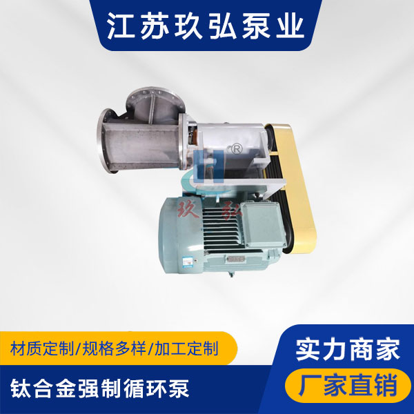 FJX-Ⅱ型鈦合(hé)金強製循環泵(圖(tú)1) FJX-Ⅱ型鈦(tài)合金強(qiáng)製循環泵(圖1)