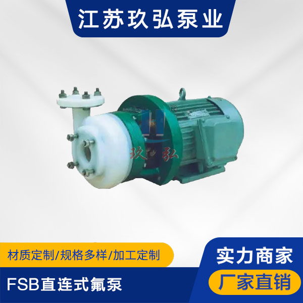 FSB直連式氟泵(圖1) FSB直連式(shì)氟泵(bèng)(圖1)