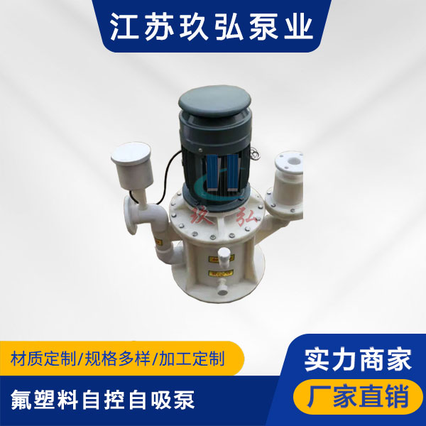 WFB氟塑料(liào)自(zì)控自(zì)吸泵(圖1) WFB氟(fú)塑料自控自吸泵(圖1)