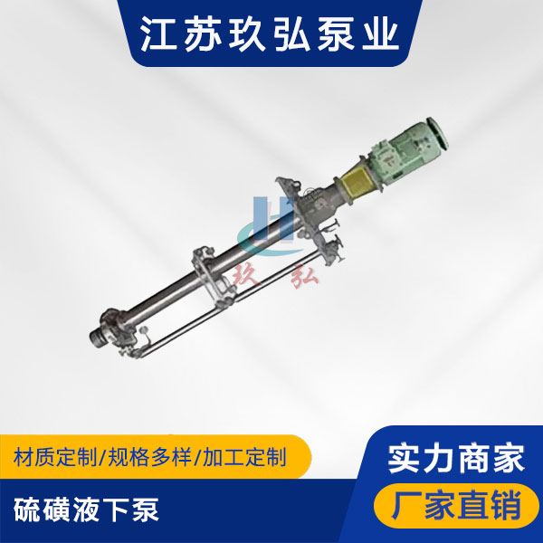 LHY硫磺液下泵【液硫泵】(圖1) LHY硫磺液下泵【液硫泵】(圖1)