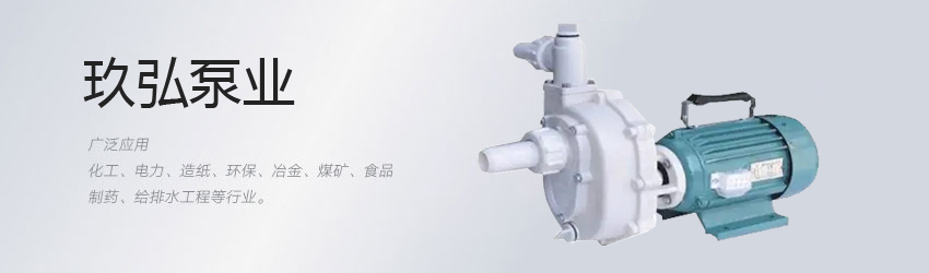 高效自吸（xī）泵