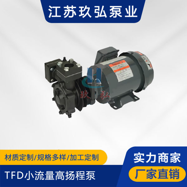 TFD小流量高揚程泵(圖1) TFD小流量高揚程(chéng)泵(圖(tú)1)