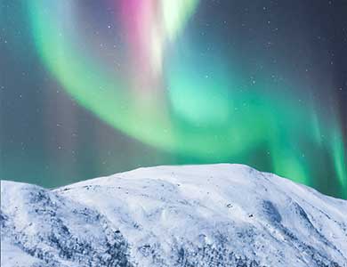 4683世（shì）界的盡頭香精