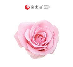 2788法國玫瑰（guī）香精