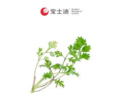 3787B艾（ài）葉艾草（cǎo）香精