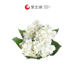 4178小花茉莉香精