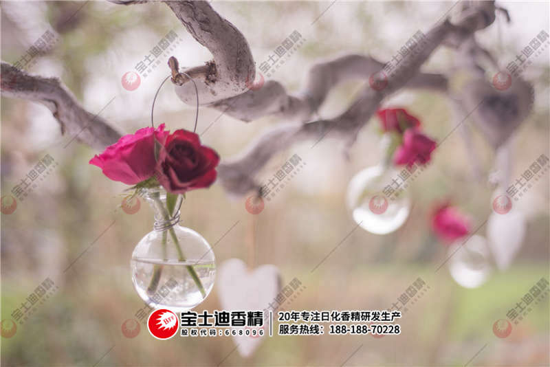 法國玫(méi)瑰香精精油(yóu)掛在樹上 法國玫(méi)瑰香精精油掛在樹上