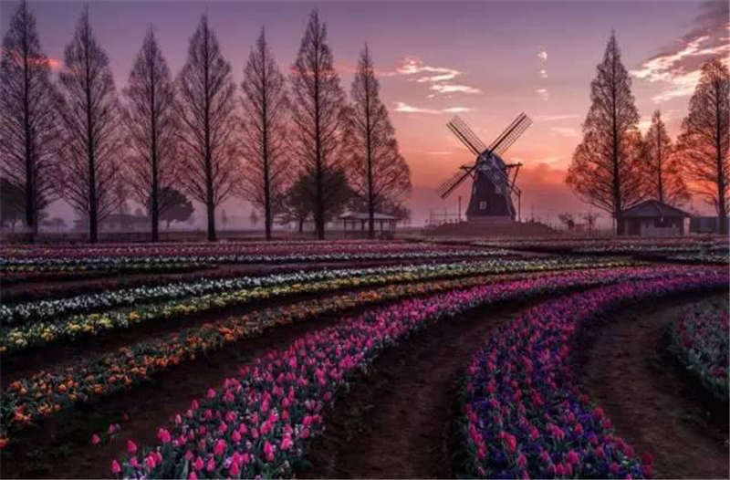 鮮（xiān）花開滿莊園