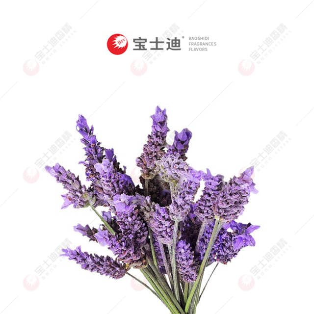 法國薰衣草香（xiāng）精