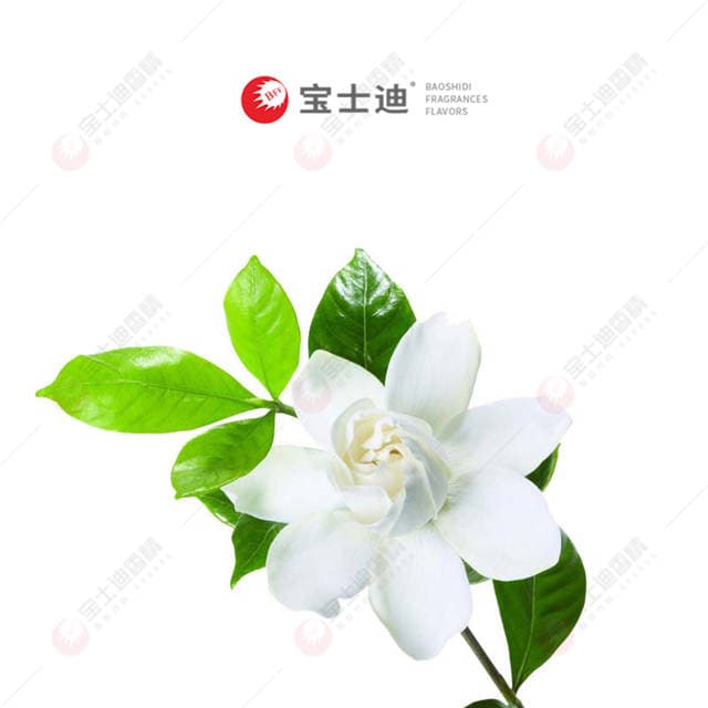大花(huā)茉(mò)莉香精